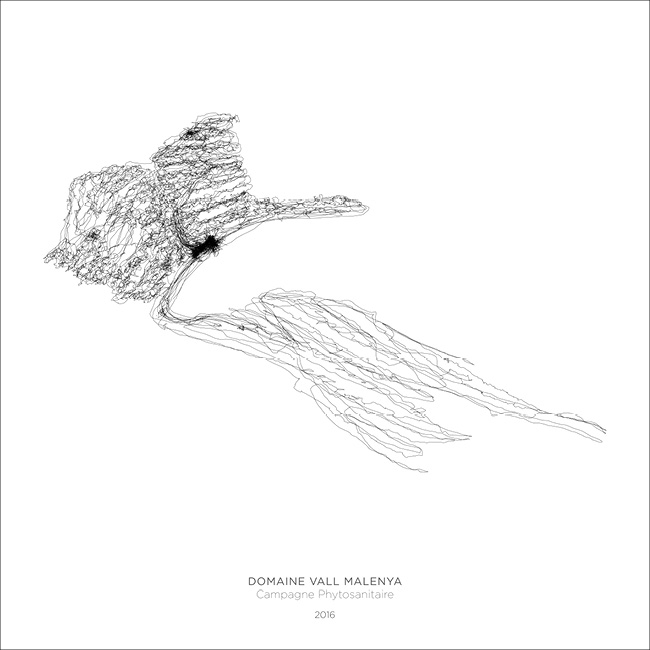 Hodographie-A la vigne